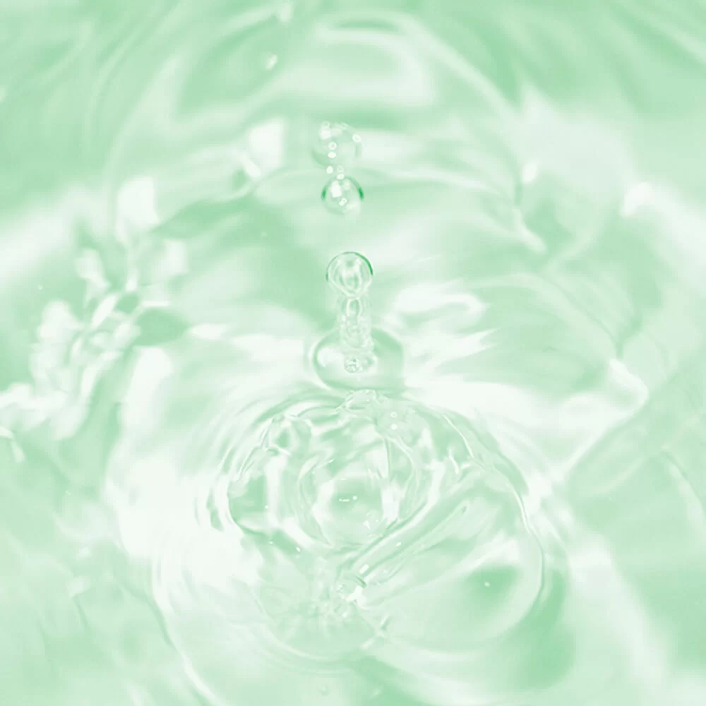 Mizon Tónico Phyto Plump de Colágeno - Imagen 3